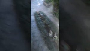 Гостевой дом "Ромашка"