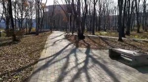ДВФУ. Владивосток. Первое впечатление