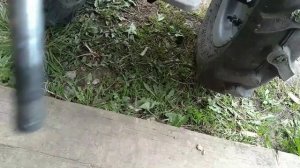 в свободное время между копанием  мотоблоком Хускварна  HusqvarnaTF338