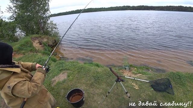 река Свирь рыбалка, лето 2020 смотреть онлайн