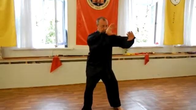 Мастер класс. Тайцзицюань стиля Чэнь. Шаг 7 формы.