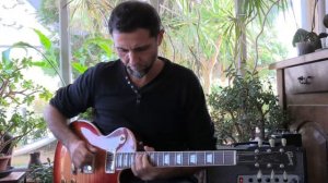 BK BUTLER TUBE DRIVER  -  GIBSON LES PAUL STANDARD   (PRS pickups)  -   FREIDMAN MINI DIRTY SHIRLEY