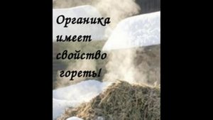 Сорняки и Мульчирование в Природном земледелии! Шаг 2.