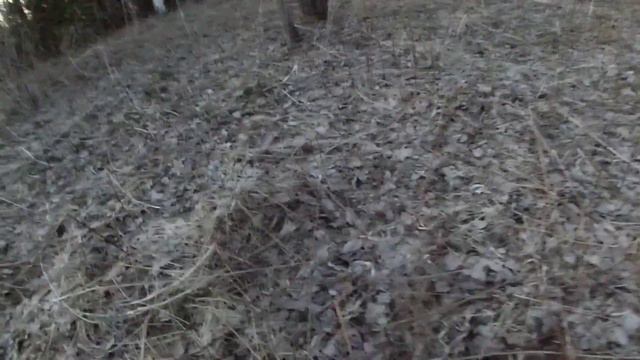 Удачная вечёрка на вальдшнепа. смотреть онлайн