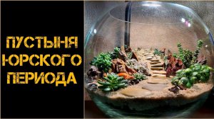 Пустыня юрского периода. Флорариум из суккулентов.