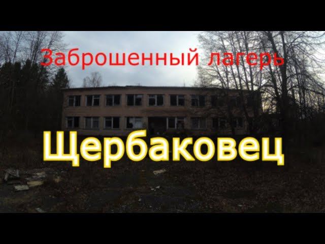 Заброшенный лагерь Щербаковец. Год без охраны