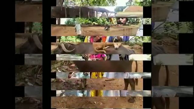 Rajsthani lock git'//////"6*/"''!////':?='?तरपदजलवगड़ वरचचय смотреть онлайн