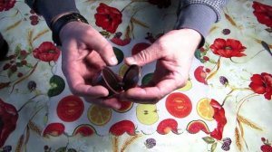 Капсула для кофемашины МНОГОРАЗОВАЯ