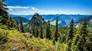 Mark Knopfler. Wild Mountain Thyme