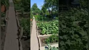 глубинный насос на даче.