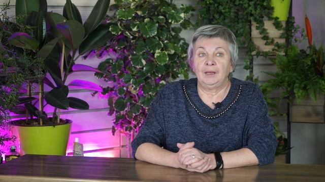 ЧЕСНОК ПРОРОС ОСЕНЬЮ ➔ Взошел озимый чеснок. Что делать, чтобы он не вымерз?