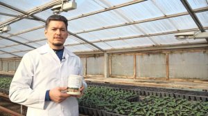 Hormofort - инструкция по применению