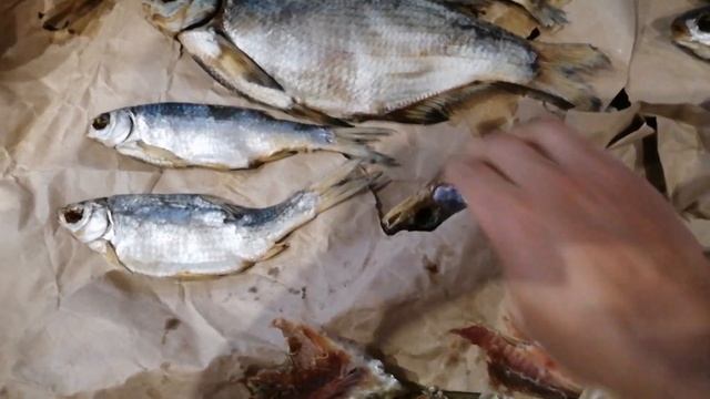 Заказали рыбу с Астрахани. Провели пробу. Ужас смотреть онлайн