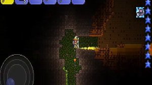 КАК И ЧЕМ ДОБЫТЬ ХЛОРОФИТ В ТЕРАРИИ?