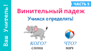 Винительный падеж. Как определить винительный падеж?