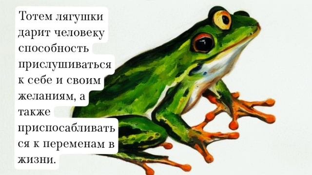 Тотемное животное, что это такое? Для чего нужны тотемы? Как призвать нужный тотем?