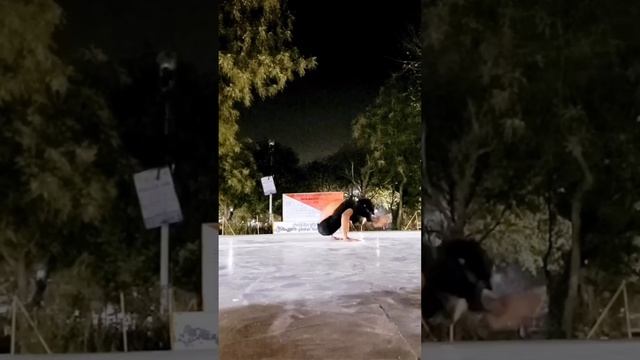 Альбертович : ТОП 5 Удивительных ВИДЕО! смотреть онлайн