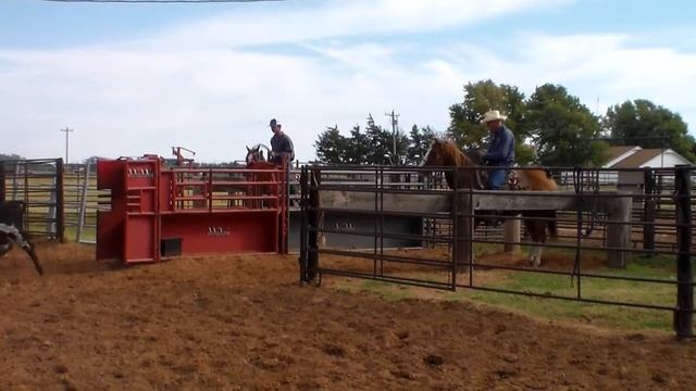 BITS N BULLETS--"Gunner" смотреть онлайн