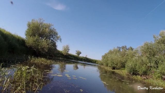 Ловля ЩУКИ на поверхностные приманки! Рыбалка в зарослях кувшинки! смотреть онлайн