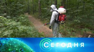 «Сегодня»: 24 августа 2022 года. 10:00 | Выпуск новостей | Новости НТВ