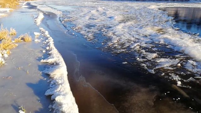 Ну наконец-то лед, шашлык и стены! как встает река #домвлесу #жизньвдеревне #домвдеревне