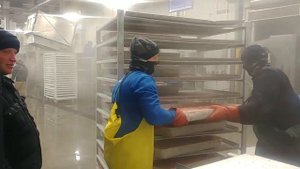 работа на рыбных заводах Аляски