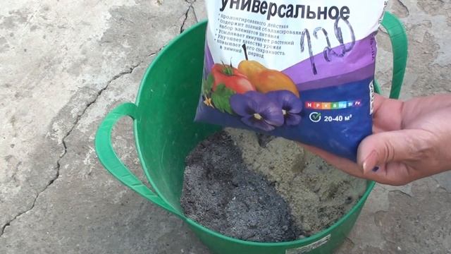 Профилактика от болезней клематисов в сезон дождей. смотреть онлайн