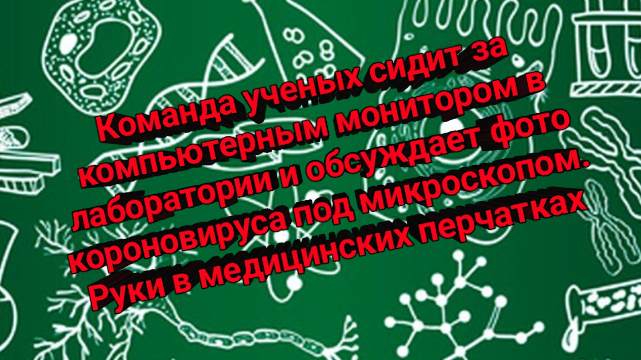 Команда ученых сидит за компьютерным монитором в лаборатории