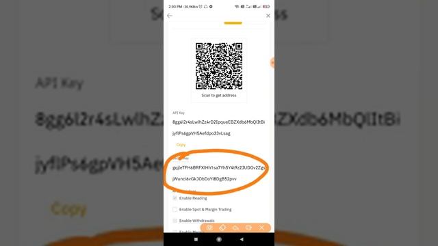 how connect API KEY with RoyalQ from Binance exchange смотреть онлайн