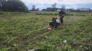 В деревне, косим ботву перед тем как копать картошку.