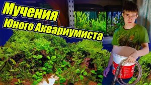 Мучения юного аквариумиста на рыборазводне [Спустя год]