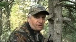 Охота на медведя