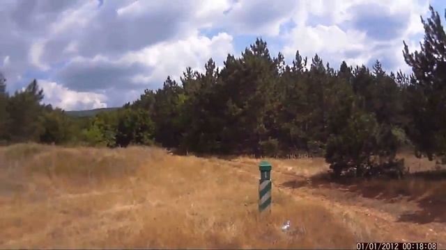 Самовольная вырубка можжевельника в Крыму