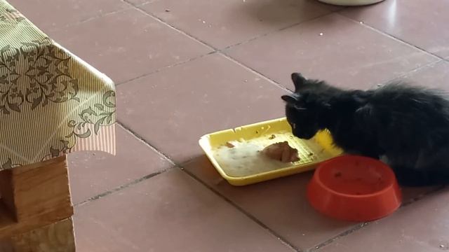 Рецепт от Татьяны смотреть онлайн