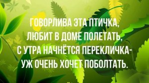 Загадка про говорящую птицу живущую в джунглях для детей с ответом