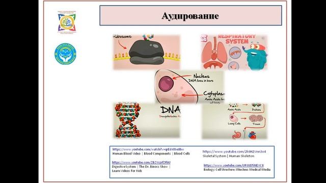 Туманова Д М смотреть онлайн