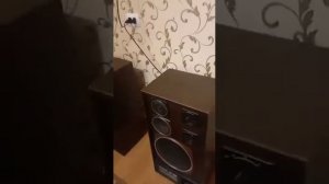 s-90 и ресивер пионер.