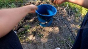 ГЕМАТОГЕН АКТИВАТОР КЛЁВА, ЭТО МАЛО КТО ЗНАЕТ!