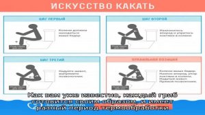 Через сколько дней можно есть маринованные грибы после приготовления — когда будут готовы: белые, .