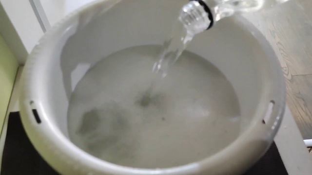 Запуск аквариума травника. Часть 4. Ивагуми спустя два месяца.