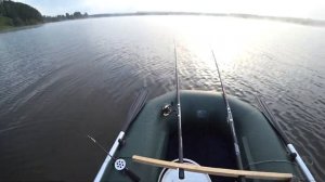 С ЛОДКИ НА ЗИМНИЕ И ЛЕТНИЕ УДОЧКИ! РЫБАЛКА НА ФИДЕР С БЕРЕГА! ТУМАННОЕ УТРО! КАПРИЗНАЯ РЫБА!