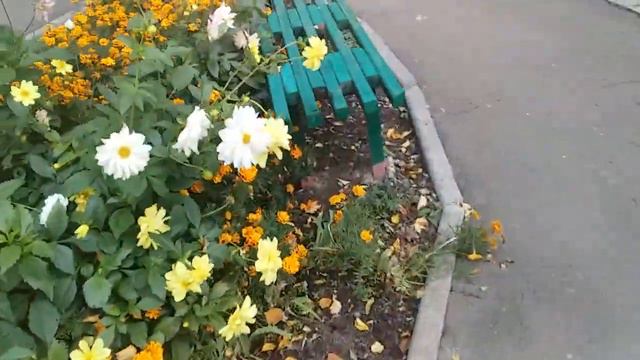 Декоративний сад восени Малодоглядові клумби Що посадити перед будинком Осінній Зразок клумби 49