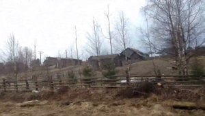 Большой бор