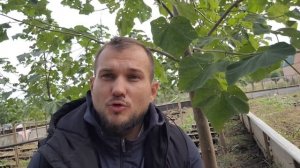 Где пройти обучение улитководству и закупить малька?