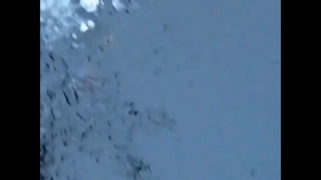 Рыба утягивает удочки. ТОП 5 прикольных случаев