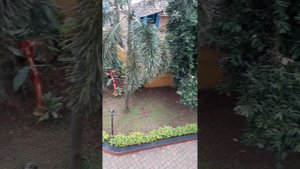 Путешествия. Индия. Гоа. Отель Вилладжио (GOA VILLAGIO). Вид с первого балкона, комнаты.