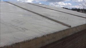 Кровля из пленки