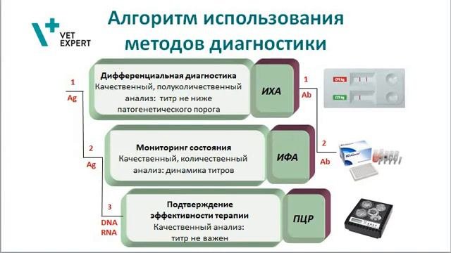 Для чего в ветеринарии используется диагностика методом ИХА?