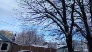 Университет физкультуры