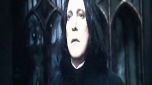 Всадник из льда (Северус Снейп)